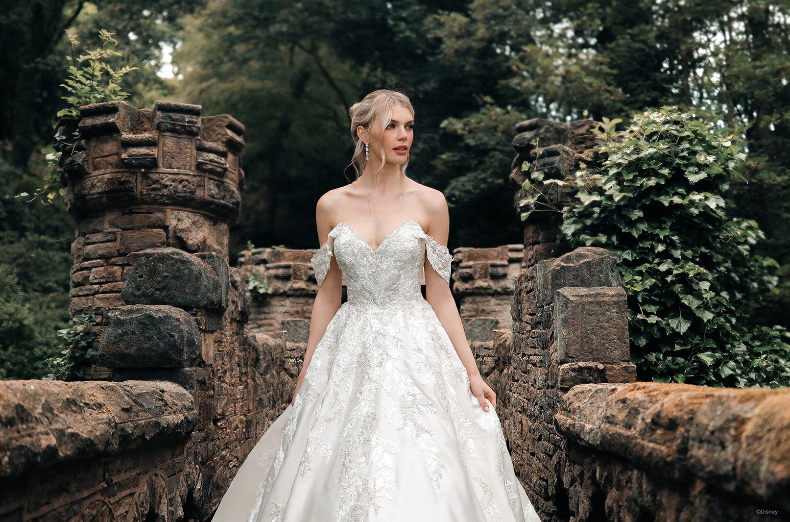 Disney Fairy Tale Weddings Collection - Stella's Bridal