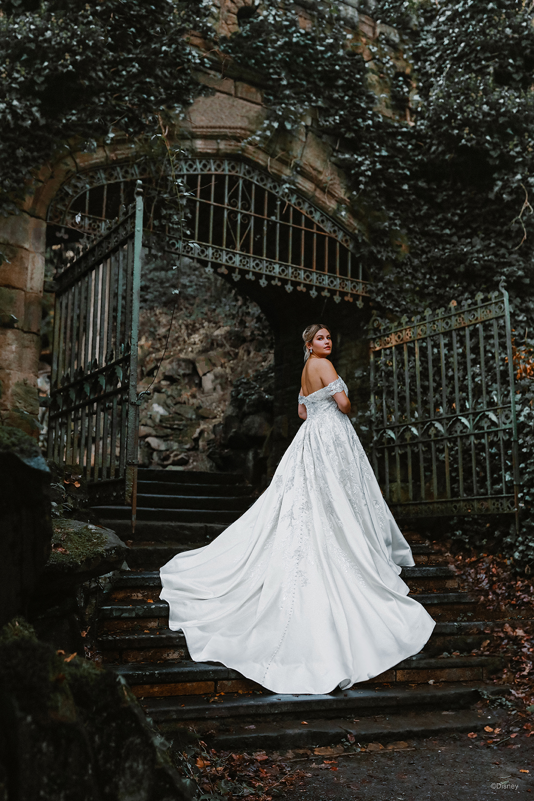 Cinderella Wedding Dresses | Cinderella Wedding Gown | Wedding Dress Plus  Size - Ball - Aliexpress