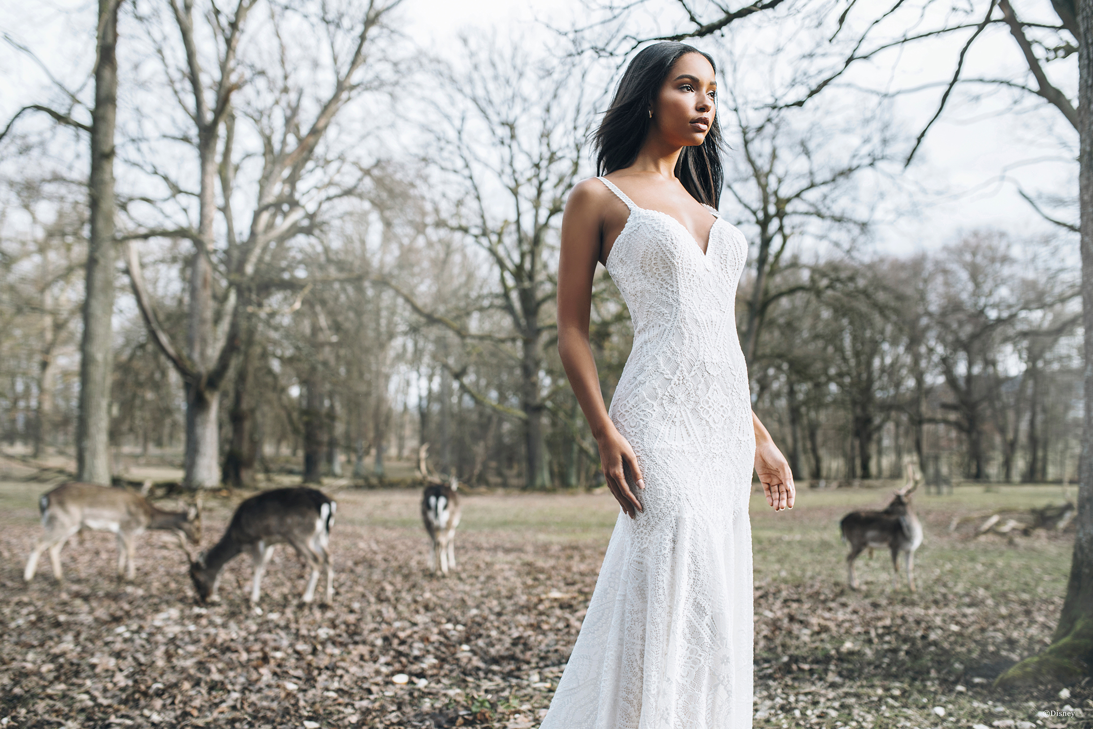 Disney Fairy Tale Weddings D265 Pocahontas