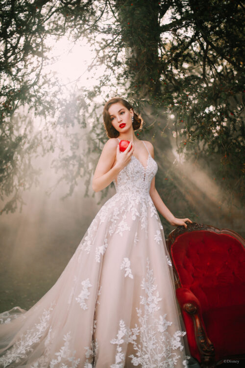 Disney Fairy Tale Weddings D287 Snow White