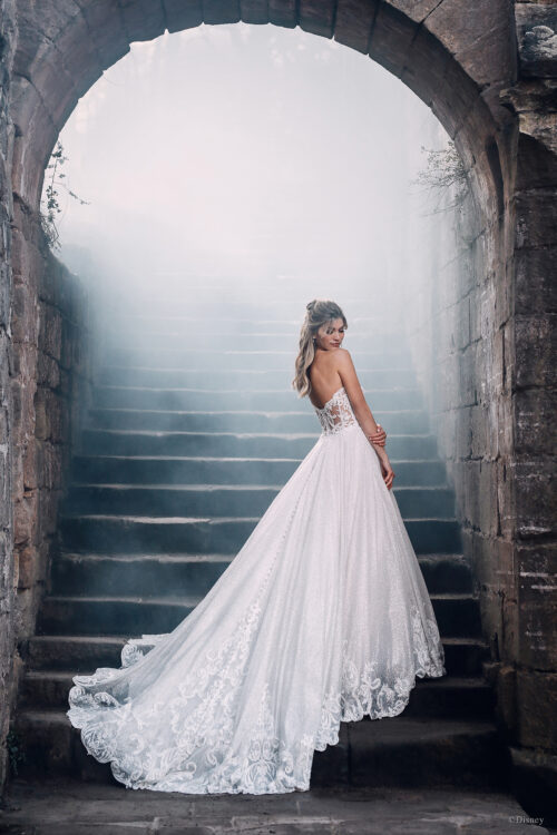 Disney Fairy Tale Weddings Cinderella D293