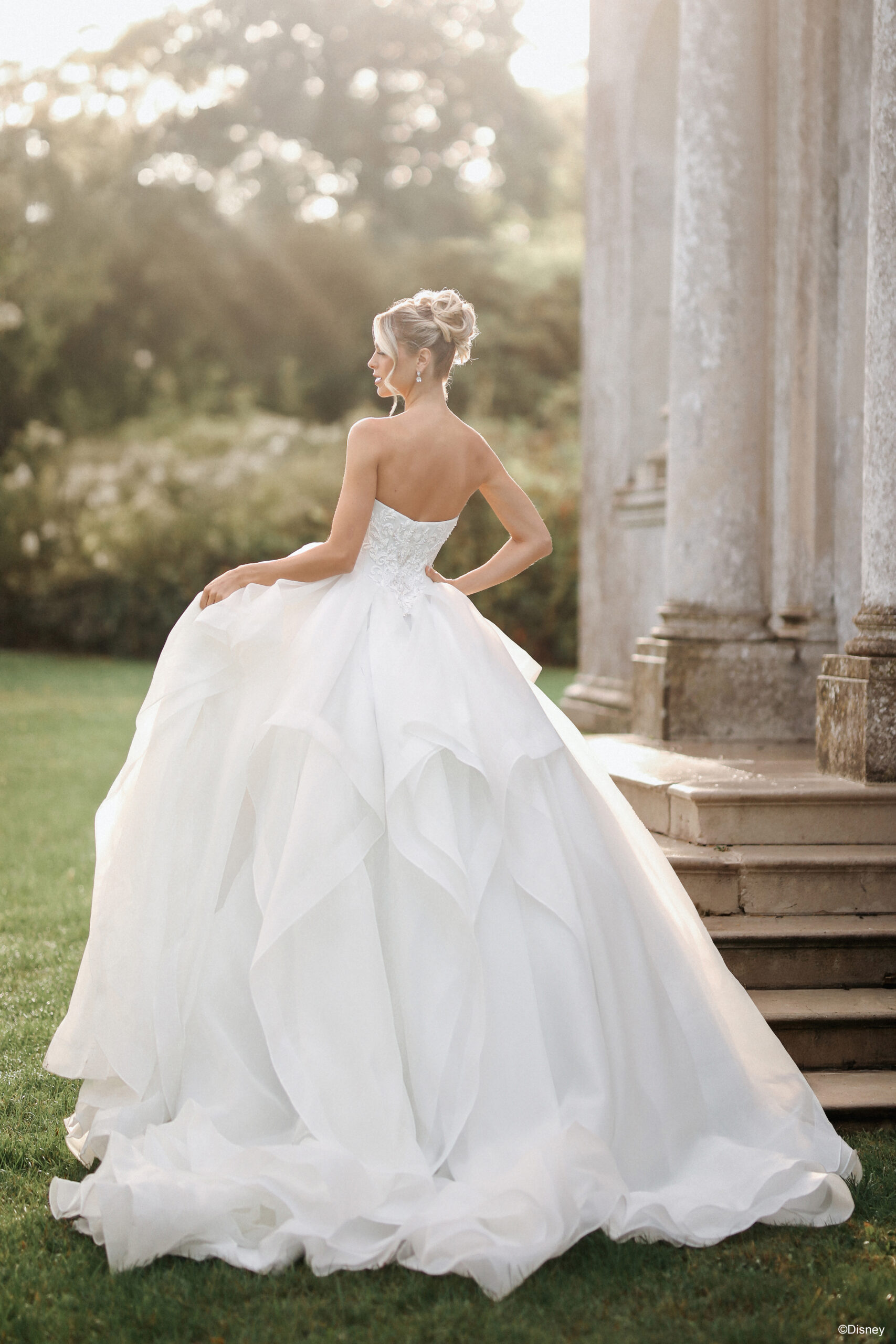 D463 Cinderella Disney Princess Wedding Dress