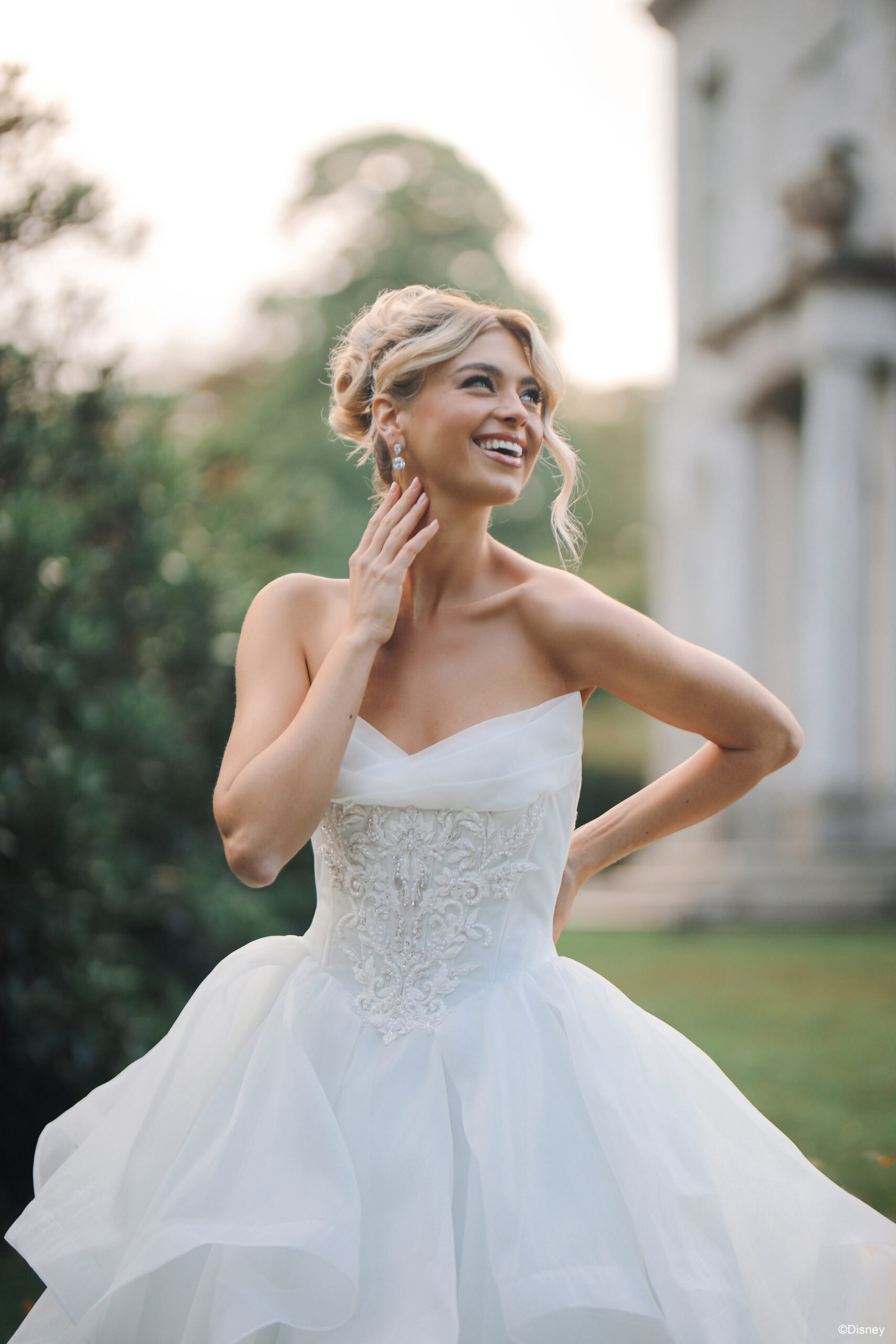 D463 Cinderella Disney Princess Wedding Dress