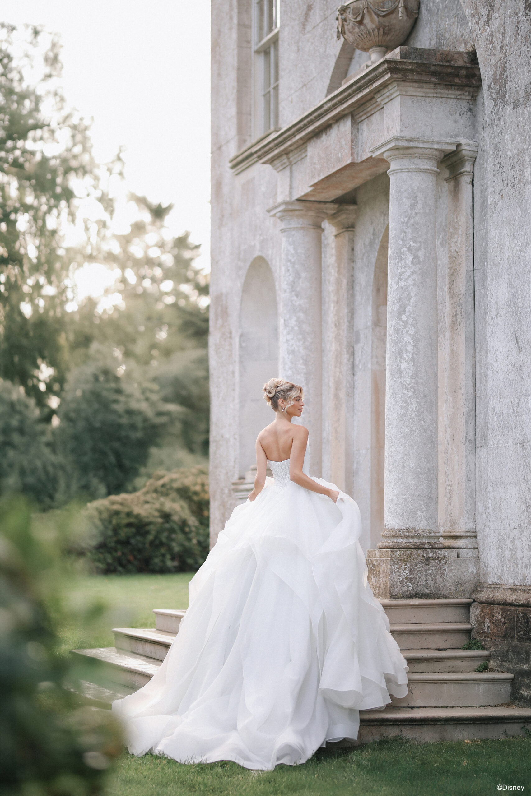 D463 Cinderella Disney Princess Wedding Dress