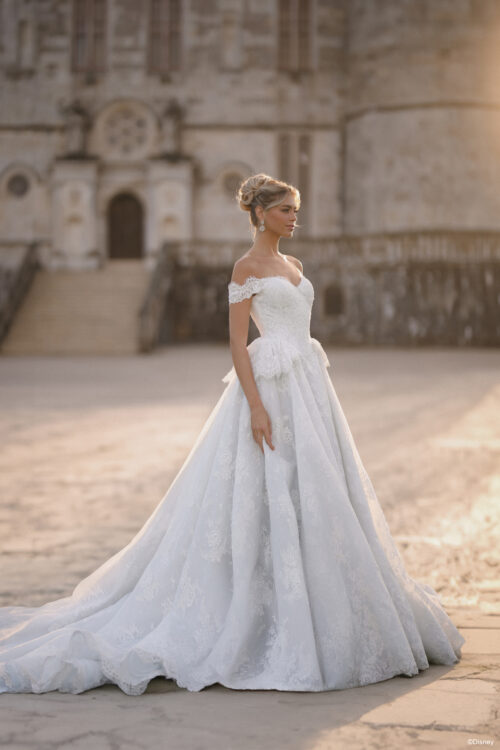 D473 Cinderella Allure Disney princess