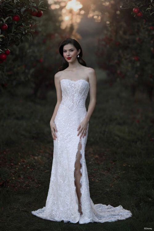D477 Snow White Allure Disney Fairytale princess