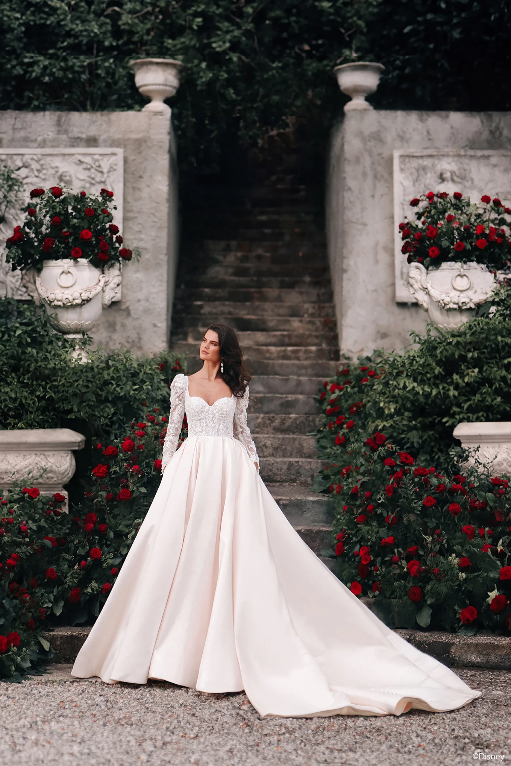 Allure D442 Belle