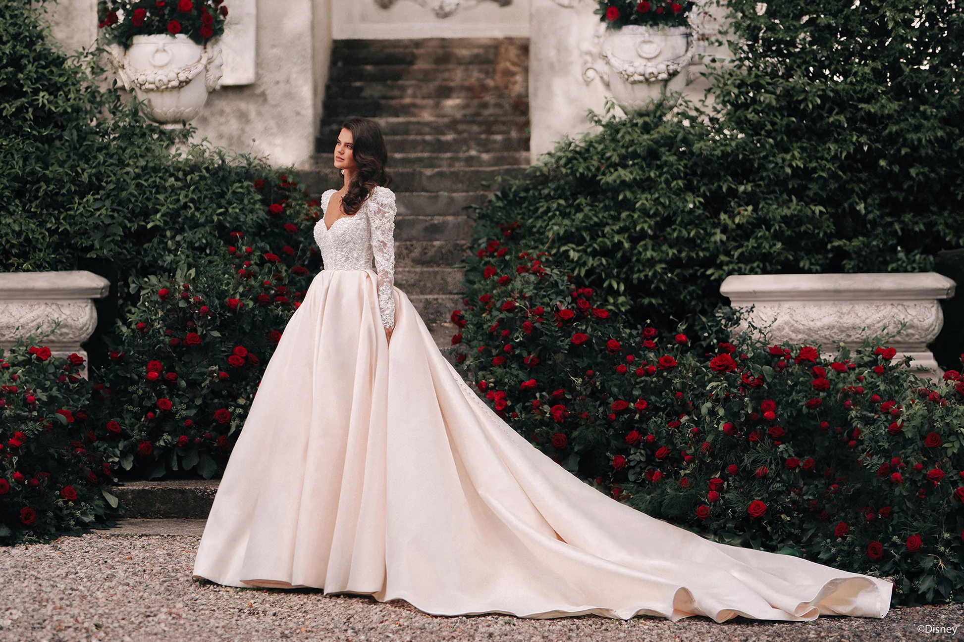 Allure D442 Belle