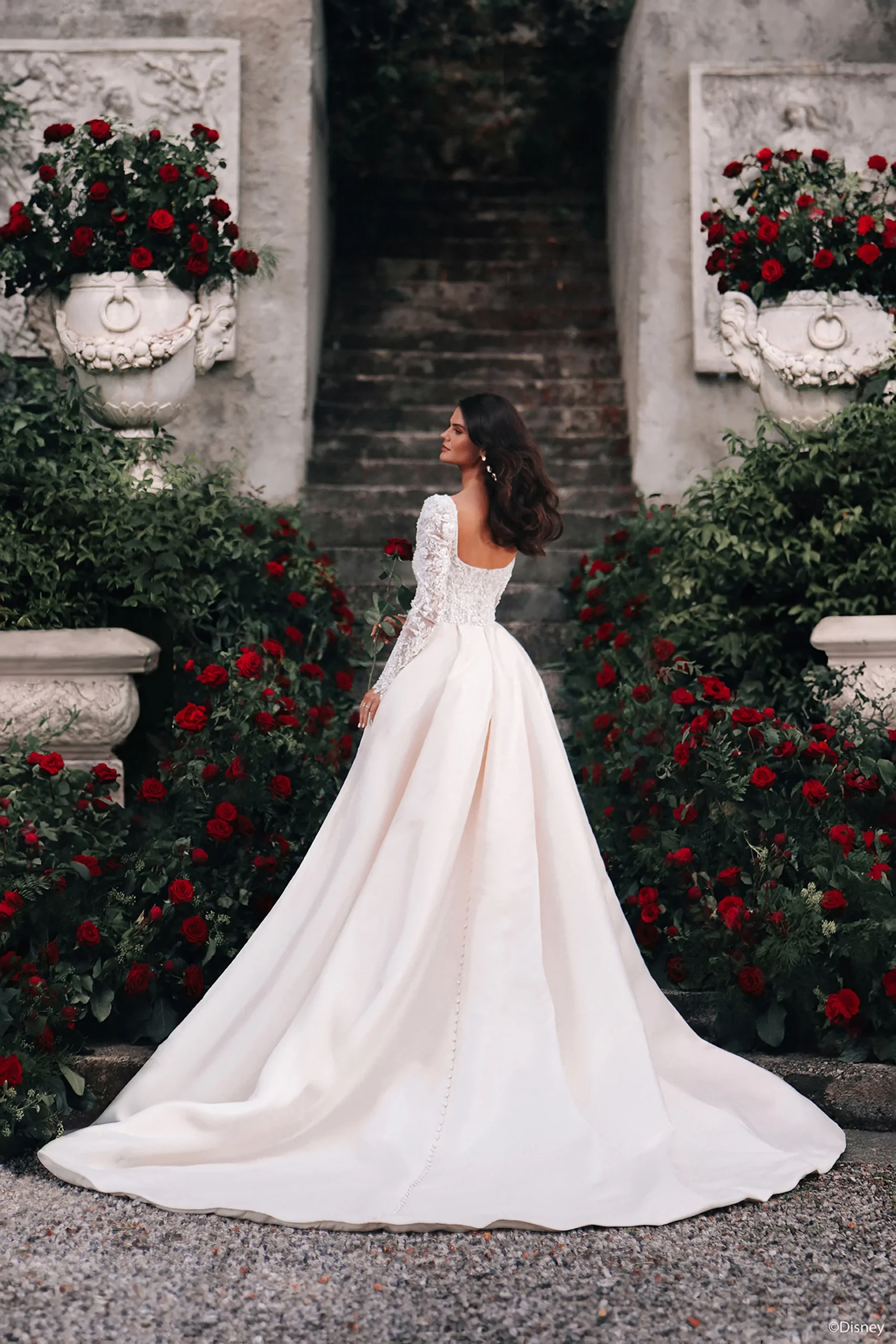 Allure D442 Belle